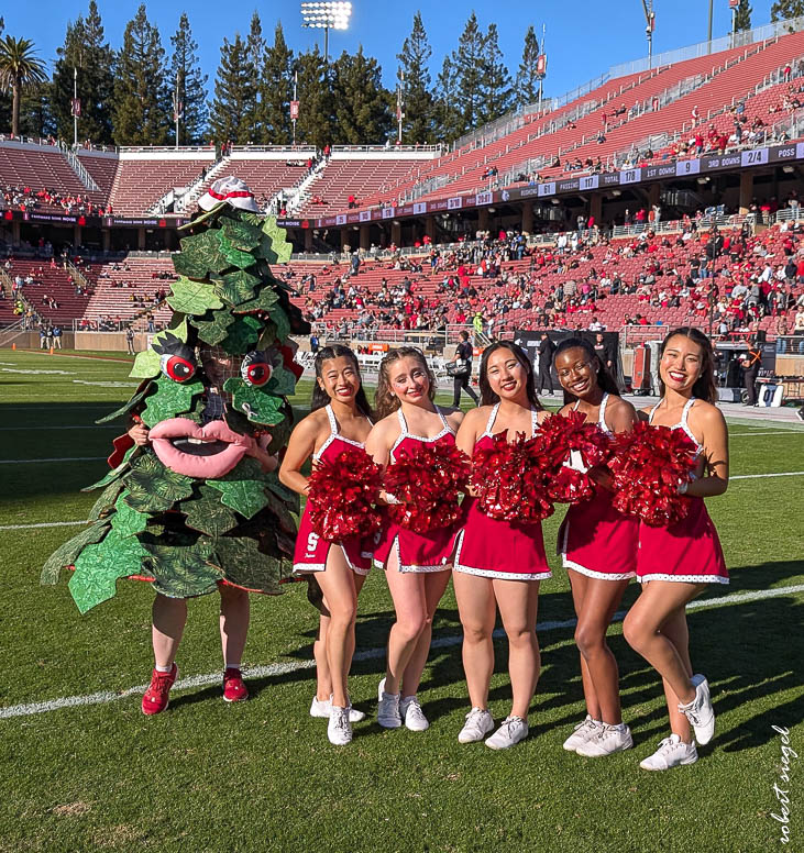 stanford football 2024